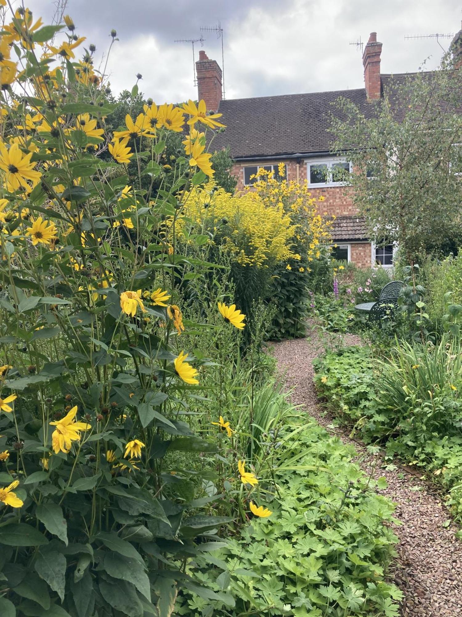 Witcroft Cottage เพอร์ชอร์ ภายนอก รูปภาพ